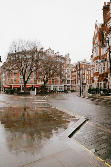 The image depicts a street scene outside a historic, multi-storey red brick building with white-framed windows and decorative stone trim, located in Berkeley Square, Mayfair. A large, leafless tree with prominent branches extends across the scene, casting shadows on the pavement. Parked along the curb are a black car and several green bicycles, some geared with baskets, locked to bike racks. Near the building's entrance, which is gated with stone pillars and decorative urns, there are cardboard moving boxes stacked on the sidewalk, suggesting recent or upcoming home relocation activity. A loading area adjacent to the building shows a red van, part of a professional moving service, Mayfair Movers, actively engaged in furniture transport or packing and moving operations. The scene is illuminated by natural daylight, highlighting the urban environment and the logistical aspect of house removals, with visible surroundings including street signage and pavement markings indicating a regulated parking zone.